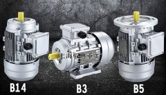 立式三相異步電動機是什么樣的_上海生產廠家（馭典重工）